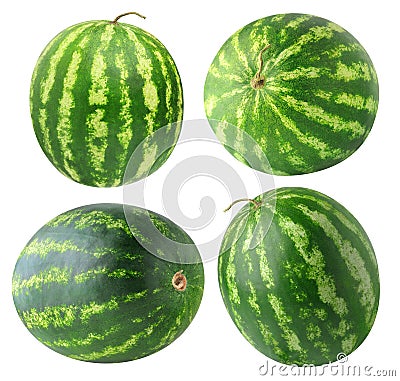 Isolated watermelons collection Stock Photo