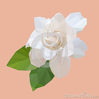 Isolated white cape jasmine polygonal flower, natural vector illustration Vector Illustration