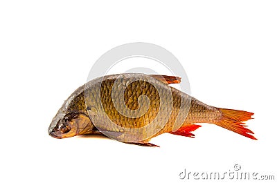 Isolated on white smoked fish roach Stock Photo