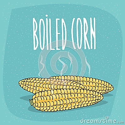 Isolated whole boiled corn ears with hot steam Vector Illustration