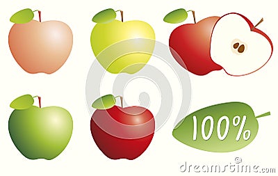 Isolated whole and cut red, yellow and green color apple with labeled leaf and 100%. Vector Illustration