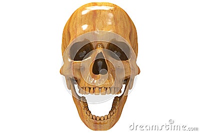 Isolated wood cranium half skull on a white background. Stock Photo