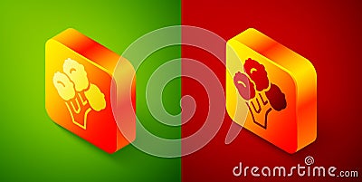 Isometric Broccoli icon isolated on green and red background. Square button. Vector Vector Illustration
