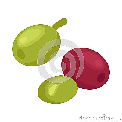 Isometric Coffee Berries Vector Illustration