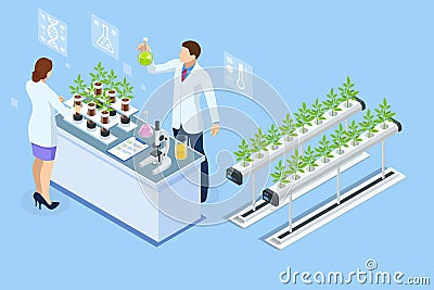 Isometric concept of laboratory exploring new methods of plant breeding and agricultural genetics. Plants growing in the Vector Illustration