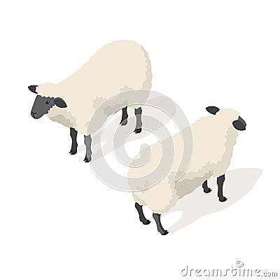 Isometric 3d vector illustration of sheep Vector Illustration