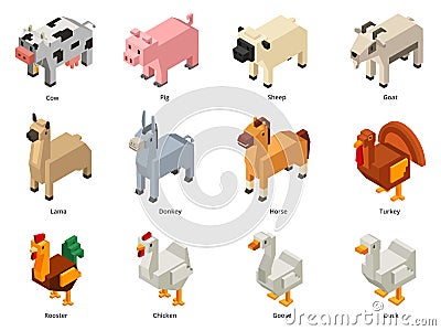 Isometric farm animals. Low poly cow, pig and sheep. Polygonal goat, voxel domestic birds and horse 3D cartoon vector Vector Illustration