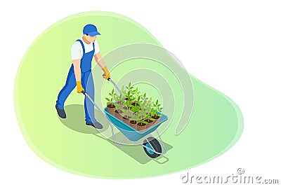 Isometric farmer with a wheelbarrow with seedling. Organic farm products. Male working on harvesting season. Vector Illustration