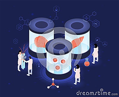 Isometric genetic engineering concept with scientists making artificial organs vector Vector Illustration