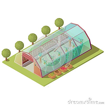 Isometric greenhouse, farm building isolated icon Vector Illustration