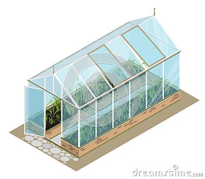 Isometric greenhouse with glass walls, foundations, gable roof, garden bed. Vector Illustration