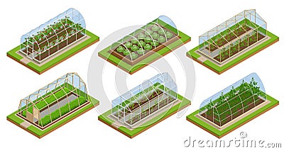 Isometric Greenhouse isolated on white. Growing seedlings in glasshouse. Plants crop in greenhouse Vector Illustration