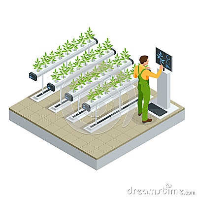 Isometric modern smart industrial greenhouse. Artificial intelligence robots in agricultural. Organic food, agriculture Vector Illustration