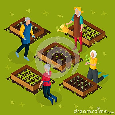 Isometric Pensioners Working In Garden Template Vector Illustration