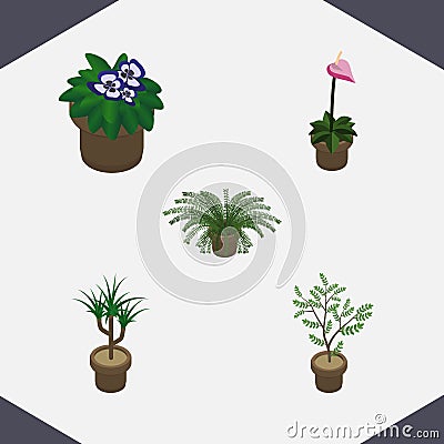 Isometric Plant Set Of Grower, Houseplant, Flowerpot And Other Vector Objects. Also Includes Fern, Flowerpot, Flower Vector Illustration