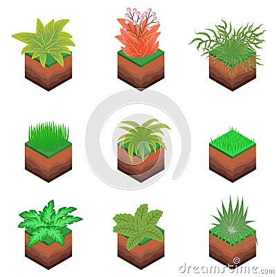 Isometric Plant Tree Bush Vector Illustration