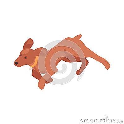 Isometric Running Dog Vector Illustration