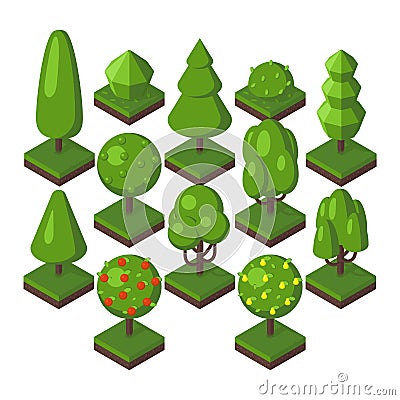 Isometric tree vector illustration. Vector Illustration