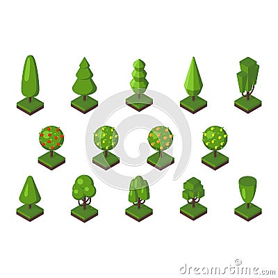 Isometric tree vector illustration. Vector Illustration