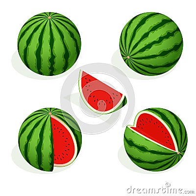 Isometric watermelon and pieces of refreshing watermelon on a white background. Vector Illustration