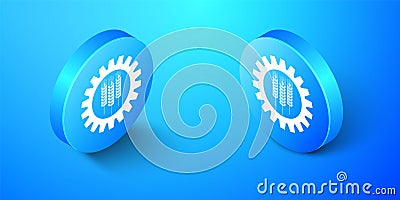 Isometric Wheat and gear icon isolated on blue background. Agriculture symbol with cereal grains and industrial gears. Industrial Stock Photo