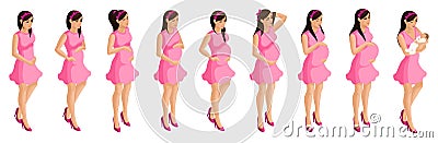 Isometry of a pregnant girl, stages and timing of pregnancy. Birth of a child, mother and child, happy family Vector Illustration