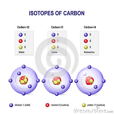 Isotopes of Carbon Vector Illustration