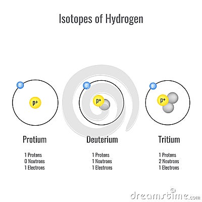 Isotopes of Hydrogen vector illustration Vector Illustration