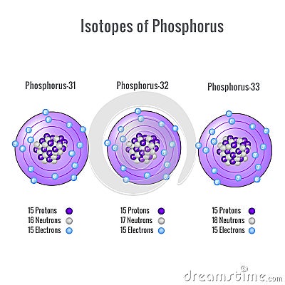 Isotopes of Phosphorus atom 3D vector illustration Vector Illustration