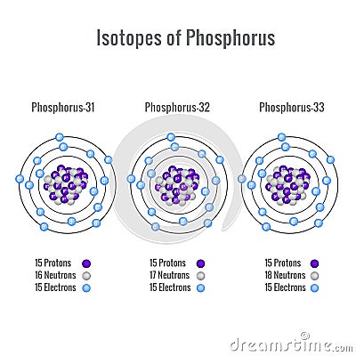 Isotopes of Phosphorus atom vector illustration Vector Illustration