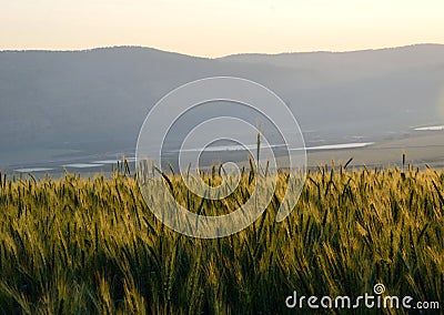 ISRAEL Stock Photo