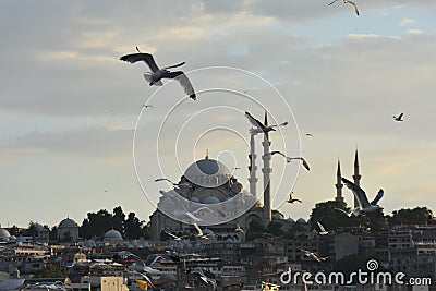 Istanbul the capital of Turkey, eastern tourist city. Stock Photo