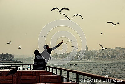 Istanbul corvus and seagull Editorial Stock Photo