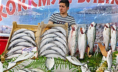 Istanbul Turkey. Fresh fish at the Street Market in Fatih District Editorial Stock Photo