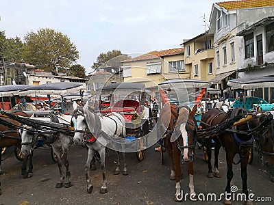 ISTANBUL, TURKEY - October 20, 2018 - Horse tied to a cart in Princess Island Buyukada Editorial Stock Photo