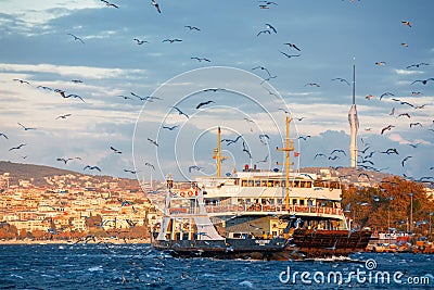 Flock of hungry seagulls chasing a car ferry sailing in the sea during sunset in Istanbul Editorial Stock Photo