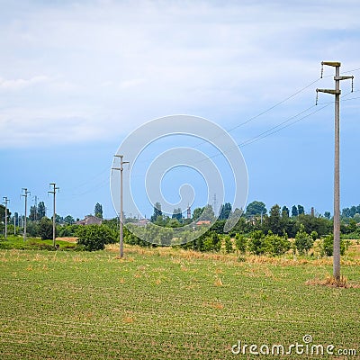 Italian agricultural summer landscape Stock Photo