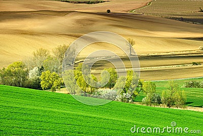 Idyllic view, Italian beautiful landscape, green and brown fields of Tuscany Stock Photo