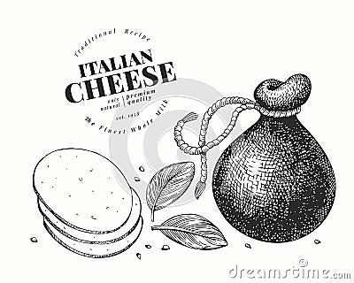 Italian cheese illustration. Hand drawn vector dairy illustration. Engraved style provolone head. Vintage food illustration Cartoon Illustration