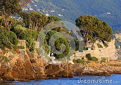 Italian Coast with Ruins and Trees Stock Photo