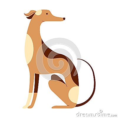Italian Greyhound Whippet Dog Cartoon Illustration Vector Illustration