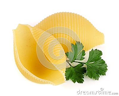 Italian lumaconi with leaf parsley isolated on white background. Lumache, snailshell shaped pasta Stock Photo