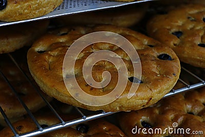 Italian olive focaccia bread in baking trays Stock Photo