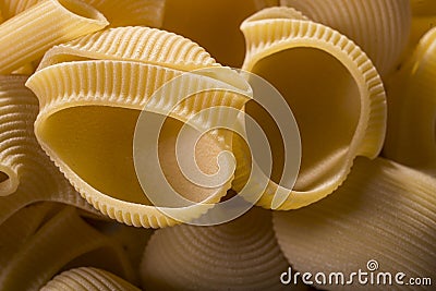 Italian pasta Lumaconi 4 Stock Photo