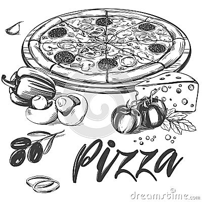 Italian pizza , collection of pizza with ingredients, logo, hand drawn vector illustration realistic sketch Vector Illustration
