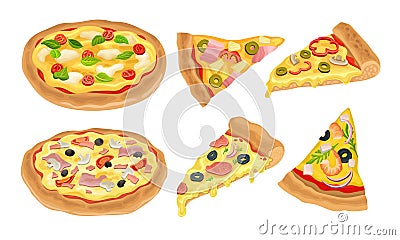 Italian Pizza Vector Illustrated Set. Colorful Restaurant Tasty Isolated Nutrition Vector Illustration