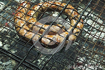 Italian sausage grilled Stock Photo