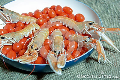 Italian seafood Stock Photo