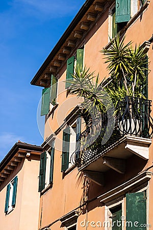 Italian style house with the green windowframes and the palm on the balcony, Verona, Italy - Image Stock Photo