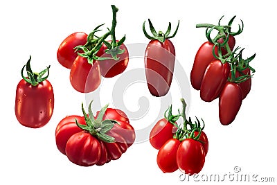 Italian tomatoes: Marzano, Roma, Costoluto, paths Stock Photo